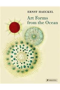 Art Forms from the Ocean
