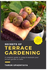 Secrets of Terrace Gardening: A Complete Guide to Setup and Maintain Your Terrace Garden in India