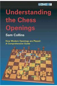 Understanding the Chess Openings