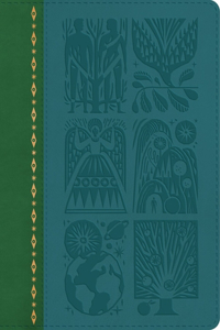 Biggest Story Bible Storybook (Trutone)