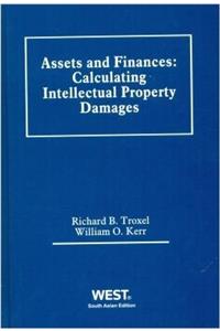 Assets and Finances: Calculating Intellectual Property Damages