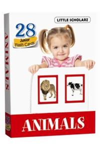 Flash Cards - ANIMALS