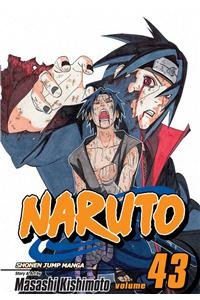 Naruto, Vol. 43