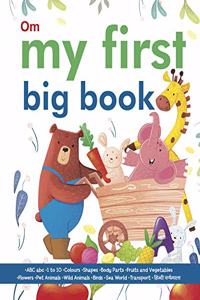 My First Big Book of ABC,1to10,Wild Animals,Pet Animals,Sea World,Transport,Fruits & Vegetables,Colours, Body Parts, Shapes, Birds, Flowers, Hindi Varnmala (My First Book of)
