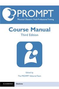 Prompt Course Manual