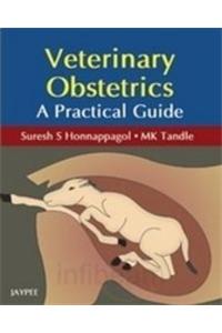 Veterinary Obstetrics A Practical Guide