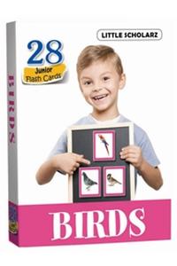 Flash Cards - BIRDS