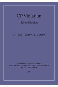 CP Violation