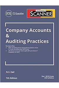 SCANNER-COMPANY ACCOUNTS & AUDITING PRACTICES (CS-Executive)