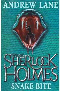 Young Sherlock Holmes 5