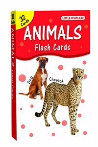 animals flash cards