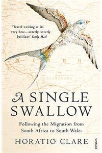 A Single Swallow