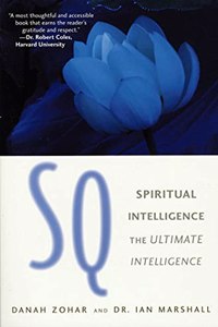 SQ: Connecting With Our Spiritual Intelligence