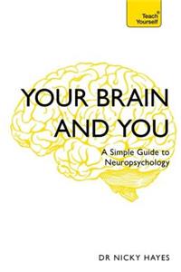 Your Brain and You