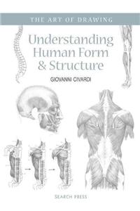 Art of Drawing: Understanding Human Form & Structure