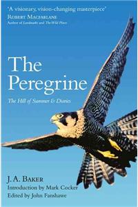 The Peregrine