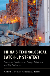 China's Technological Catch-Up Strategy