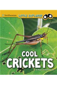 Cool Crickets