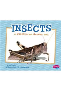 Insects