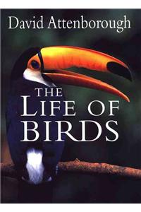 Life of Birds