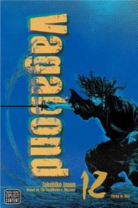 Vagabond (Vizbig Edition), Vol. 12