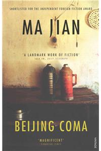 Beijing Coma