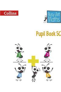 Pupil Book 5C