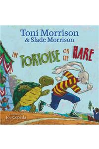 Tortoise or the Hare