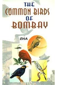 Common Birds of Bombay