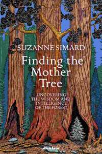 Finding the Mother Tree