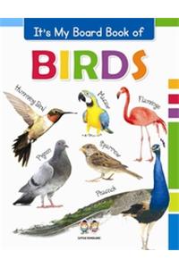 It's My Big Board Book of BIRDS