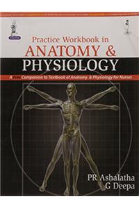 Practice Workbook in Anatomy and Physiology