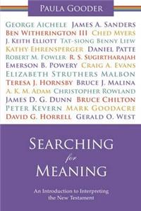 Searching for Meaning