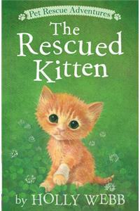 Rescued Kitten