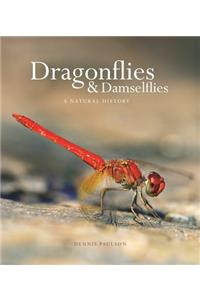 Dragonflies and Damselflies