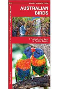 Australia Birds