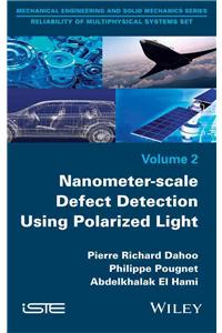 Nanometer-Scale Defect Detection Using Polarized Light