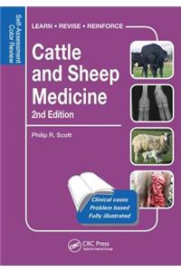 Cattle and Sheep Medicine