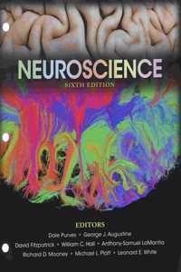 Neuroscience 6th Edition