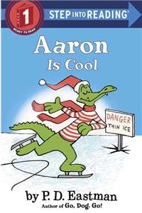 Aaron Is Cool