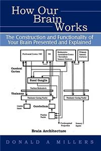 How Our Brain Works