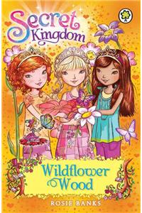 Secret Kingdom: Wildflower Wood