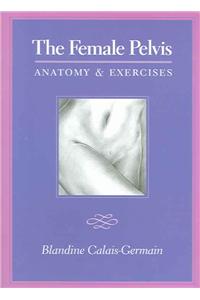 Female Pelvis: Anatomy and Exercises