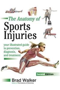 The Anatomy of Sports Injuries