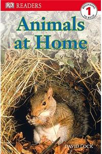 DK Readers L1: Animals at Home