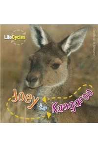 Joey to Kangaroo