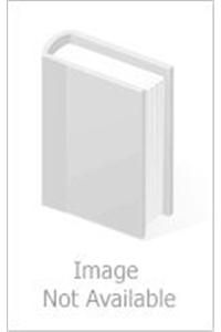 Hindi-English-Mizo Dictionary