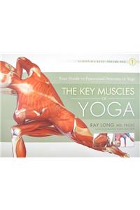 Key Muscles of Yoga: Your Guide to Functional Anatomy in Yoga