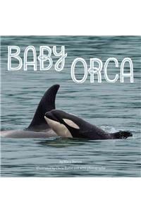 Baby Orca