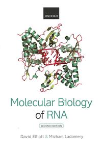 Molecular Biology of RNA